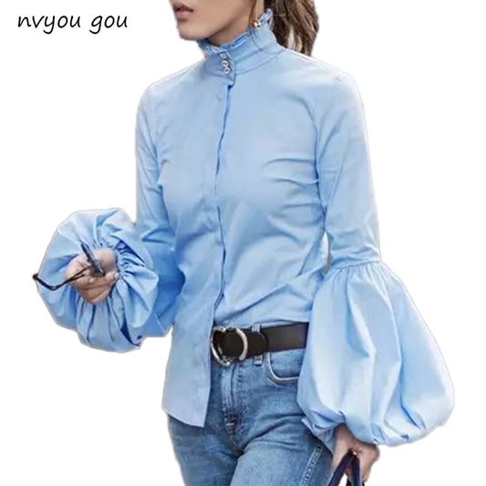Long Wide Lantern Sleeve Blue Blouse