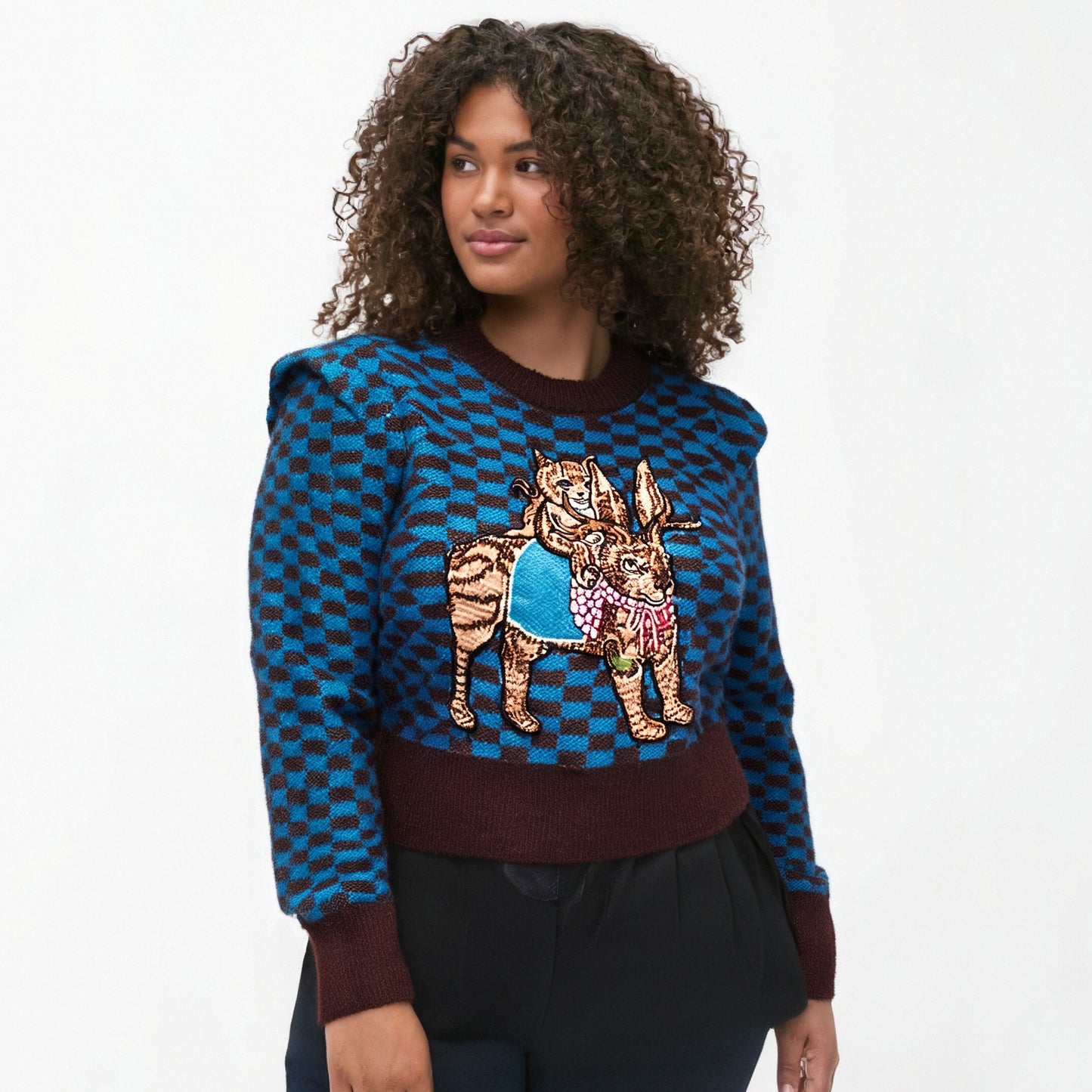 Cartoon Embroidered Argyle Knit Sweater