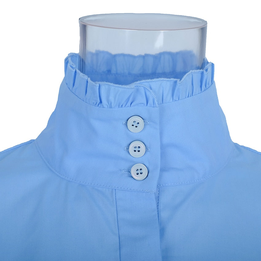 Long Wide Lantern Sleeve Blue Blouse